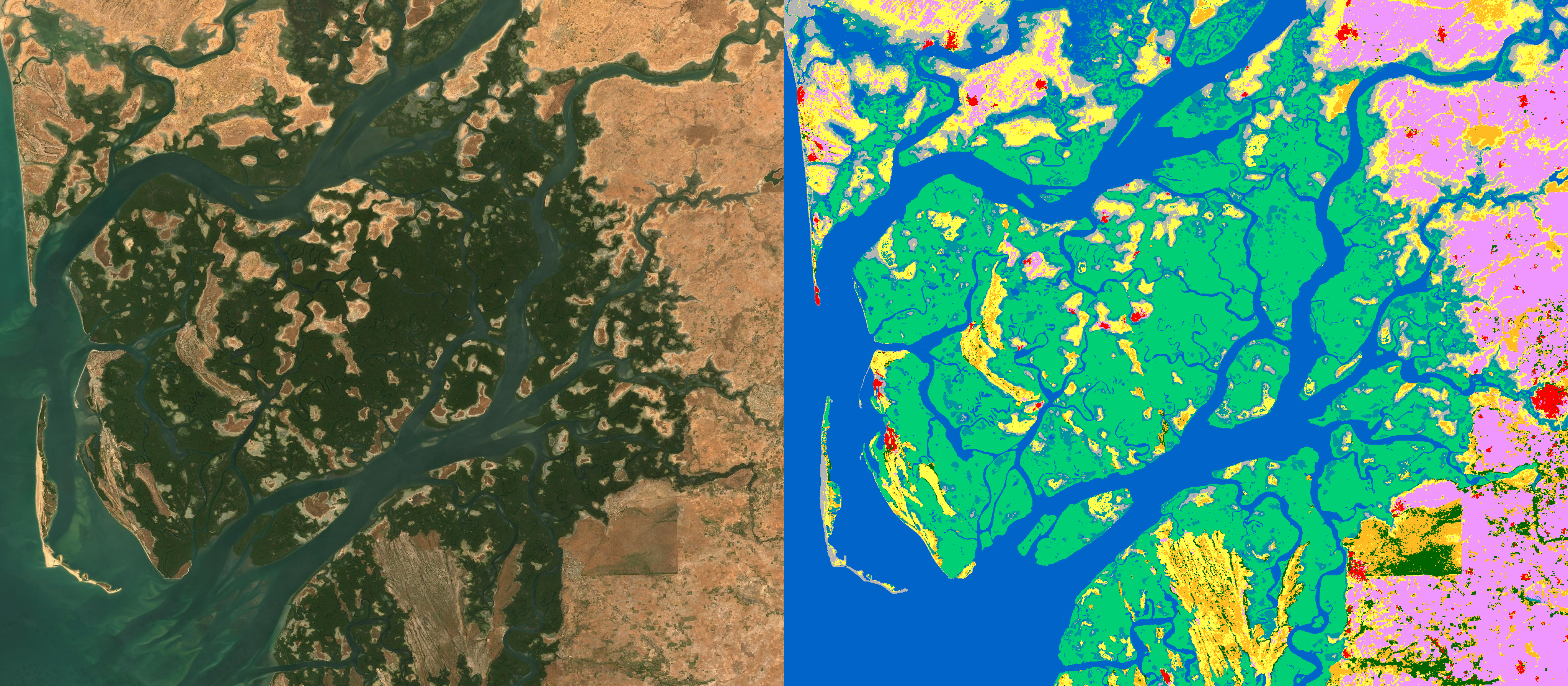Sine-Saloum — le delta et sa grande ceinture de mangroves