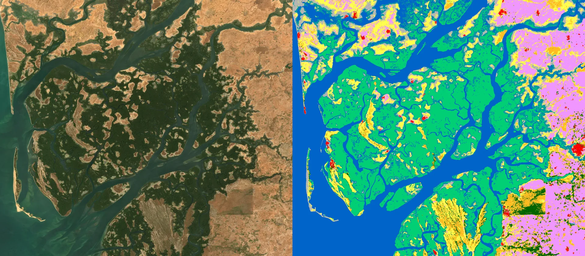 Sine-Saloum — le delta et sa grande ceinture de mangroves